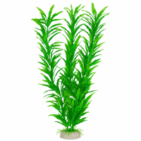 Рослина для декору акваріума 4*3*30 см зелена Hygrophila, 12in086B недорого, гарантія 14 днів