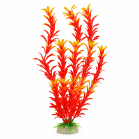 Рослина для декору акваріума 4*3*30 см помаранчева Hygrophila, 12in120D недорого, гарантія 14 днів