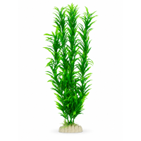 Рослина для декору акваріума 6*4*40 см зелена Hygrophila, 16in086B недорого, гарантія 14 днів