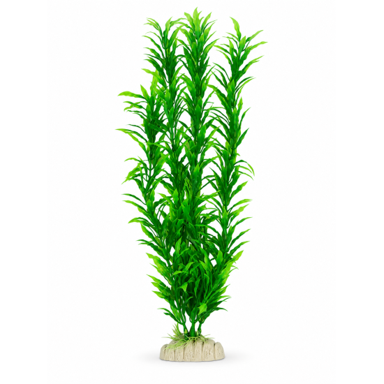 Рослина для декору акваріума 6*4*40 см зелена Hygrophila, 16in086B недорого, гарантія 14 днів