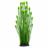 Рослина для декору акваріума 18*10*80 см зелена Hornwort, 32066B недорого, гарантія 14 днів