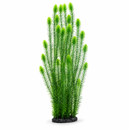 Рослина для декору акваріума 18*10*80 см зелена Hornwort, 32066B недорого, гарантія 14 днів