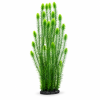 Рослина для декору акваріума 18*10*80 см зелена Hornwort, 32066B недорого, гарантія 14 днів