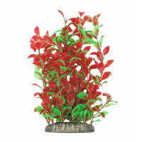 Рослина для декору акваріума 8*6*25 см червоно-зелена Ludwigia, FA(25cm)006A недорого, гарантія 14 днів