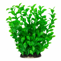 Рослина для декору акваріума 8*6*25 см зелена Ludwigia, FA(25cm)006B недорого, гарантія 14 днів