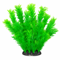 Рослина для декору акваріума 8*6*25 см зелена Foxtail, FA(25cm)083B недорого, гарантія 14 днів