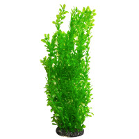 Рослина для декору акваріума 8*6*40 см зелена Ludwigia, FA(40cm)057B недорого, гарантія 14 днів