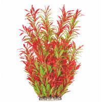 Рослина для декору акваріума 8*6*40 см червоно-зелена Hygrophila, FA(40cm)086A недорого, гарантія 14 днів