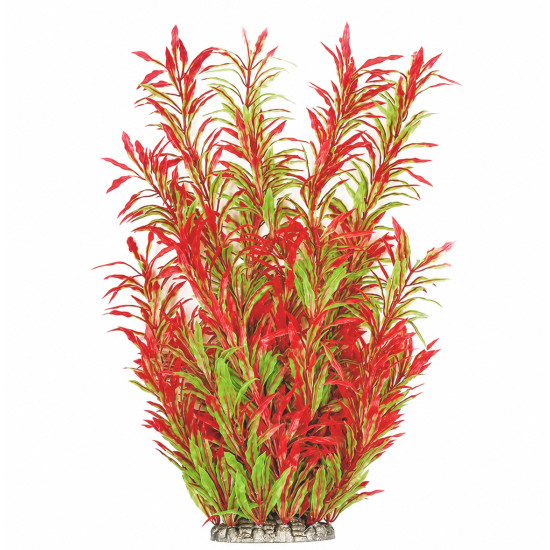 Рослина для декору акваріума 8*6*40 см червоно-зелена Hygrophila, FA(40cm)086A недорого, гарантія 14 днів