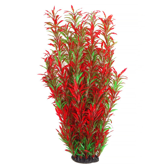 Рослина для декору акваріума 8*6*60 см червоно-зелена Hygrophila, FA(60cm)086A недорого, гарантія 14 днів