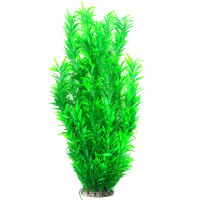 Рослина для декору акваріума 8*6*60 см зелена Hygrophila, FA(60cm)086B недорого, гарантія 14 днів