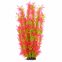 Рослина для декору акваріума 8*6*60 см червоно-зелена Hygrophila, FA(60cm)086J недорого, гарантія 14 днів