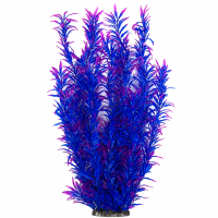 Рослина для декору акваріума 8*6*60 см синя Hygrophila, FA(60cm)086Q недорого, гарантія 14 днів